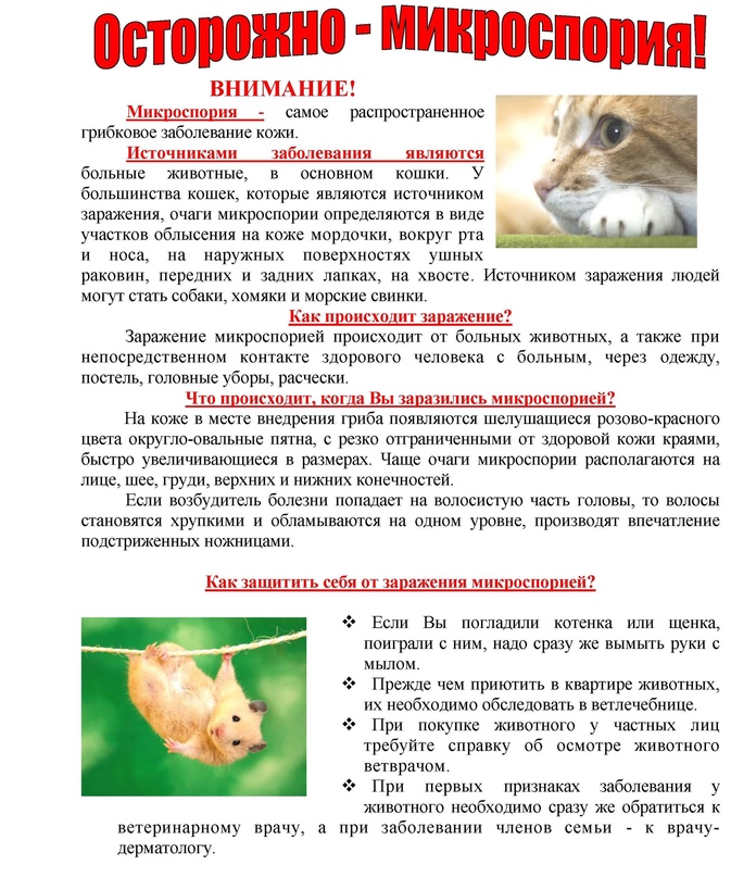 Микроспория