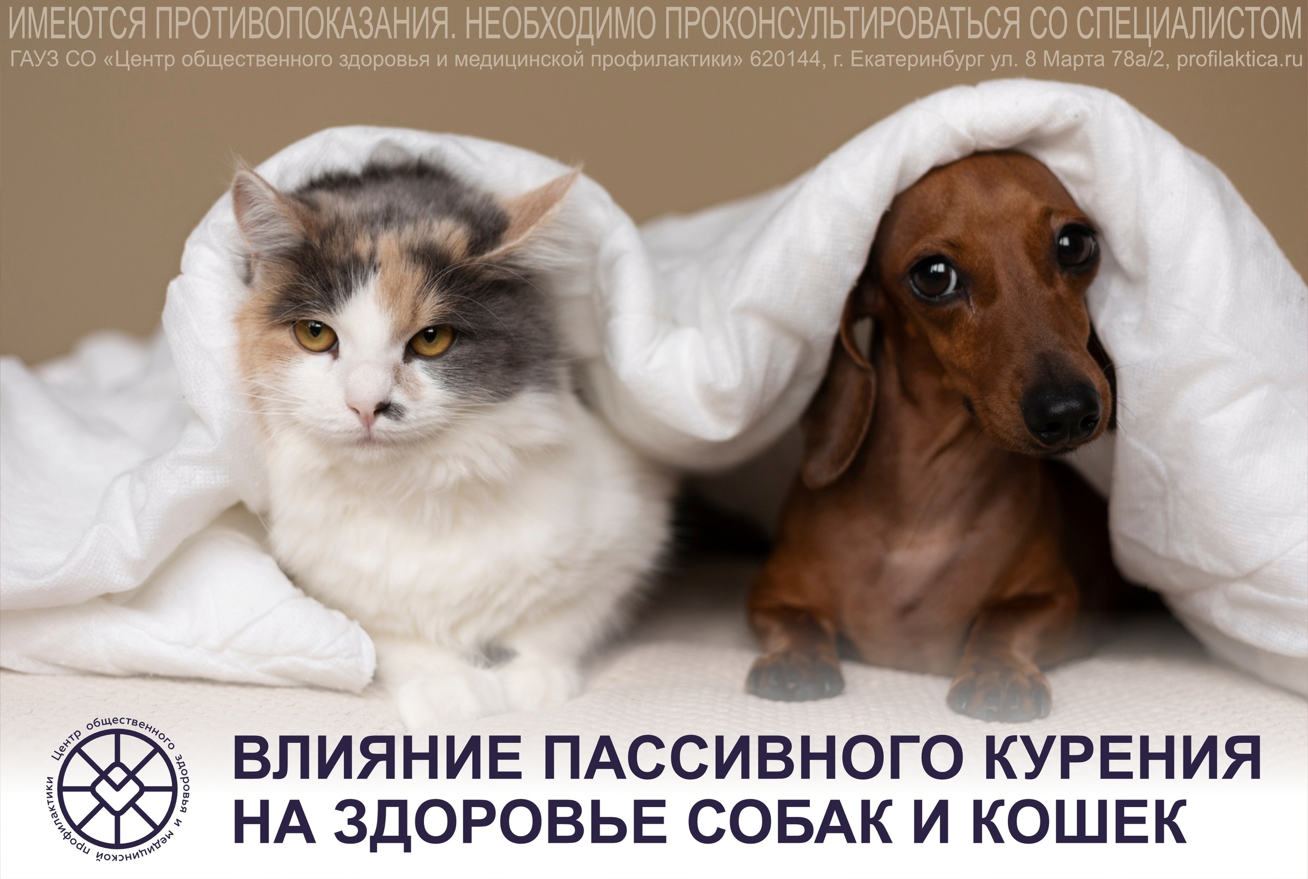 Влияние_пассивного_курения_на_собак_и_кошек.jpg