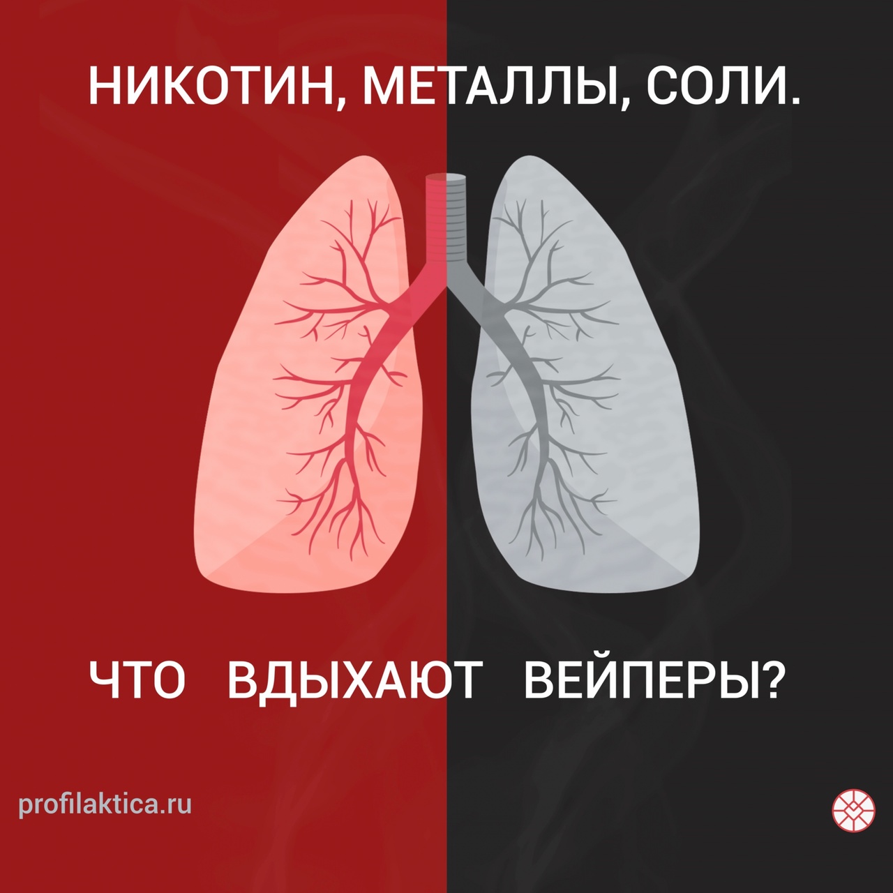 Никотин_металлы_соли._Что_вдыхают_вейперы.jpeg